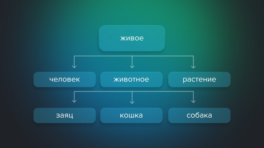 фотовизуал фотовизуал